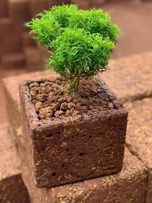  Red laterite tile in kannur kerala ,Laterite wall cladding stone tile in kannur kerala , Natural cladding stone tile in kannur kerala , Chenkal tile in kannur kerala , Stoneage Laterite Tiles